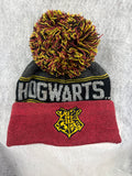 Harry Potter Hogwarts Pom-Pom Beanie