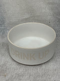 drink up glass dog bowl