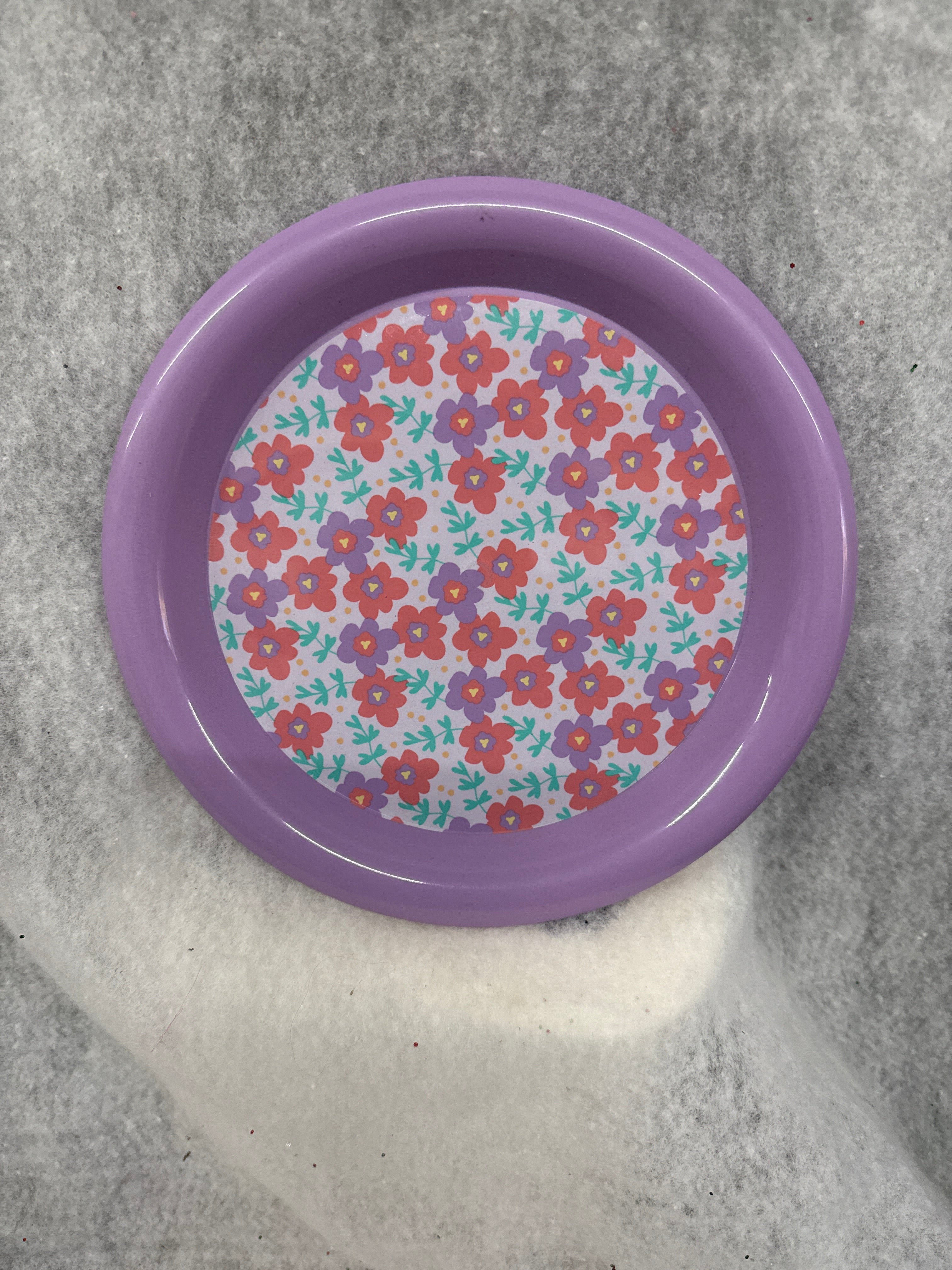 Plastic Printed Round Plate, 8 in