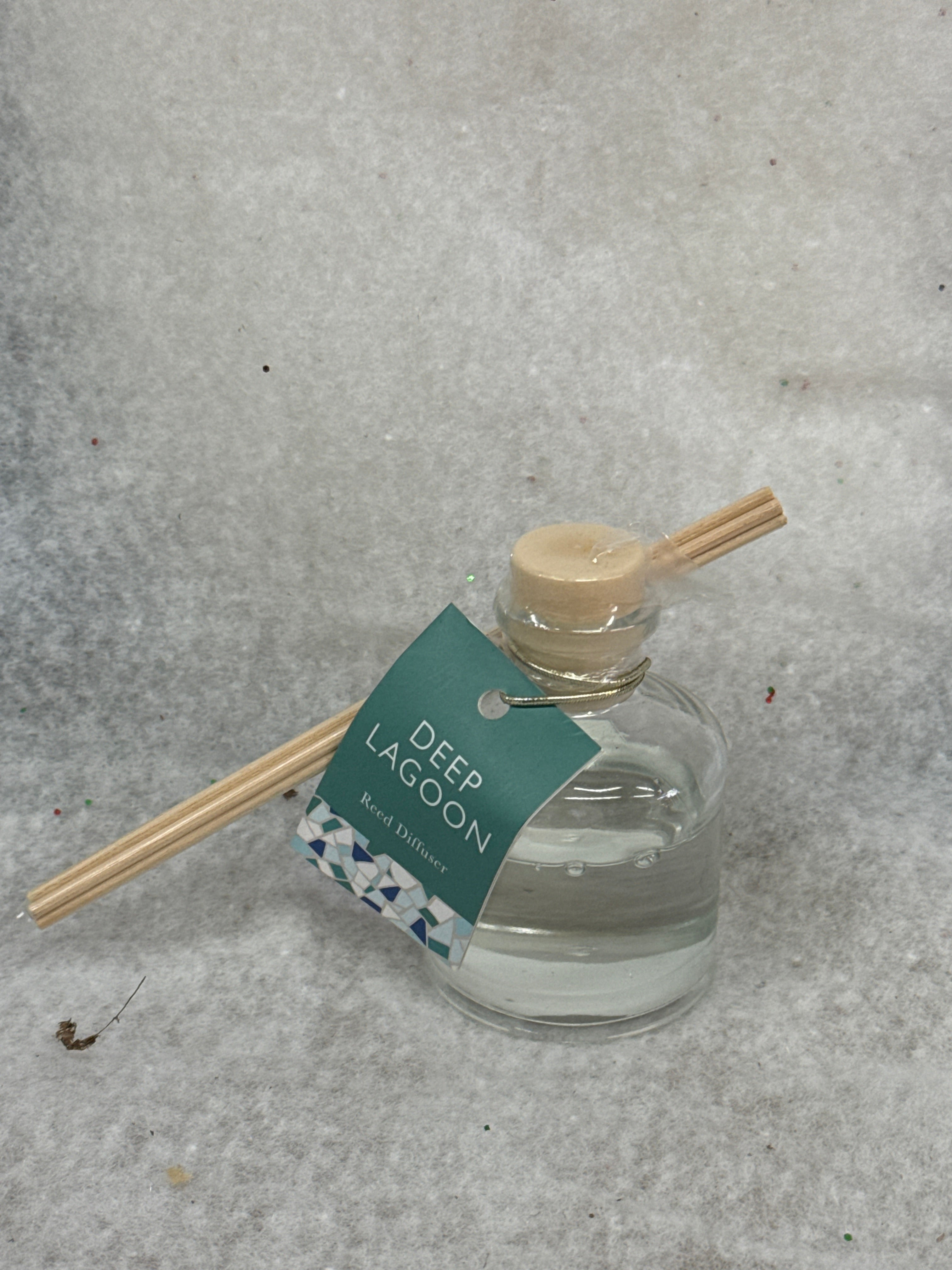 Fleming International deep lagoon Scented Reed Diffuser (1.35 fl oz)